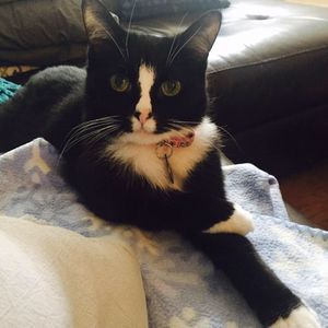 Meet your Posher, Christine